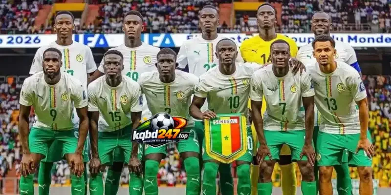 Đội hình và sơ đồ dự kiến của Sénégal vs Iraq